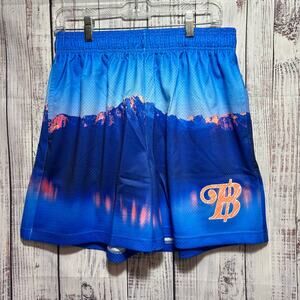 Bravest Studios Mountain Sunrise Mesh Shorts Large 33-34" Blue Orange Streetwear